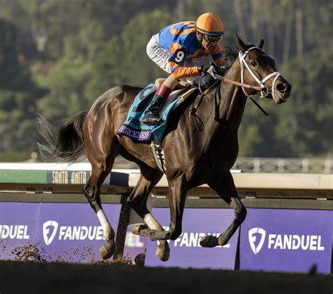 All others, Locked are top choices in Derby Future Wager.